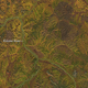 Illustration for article titled Fall Colors Look Even Better From Space